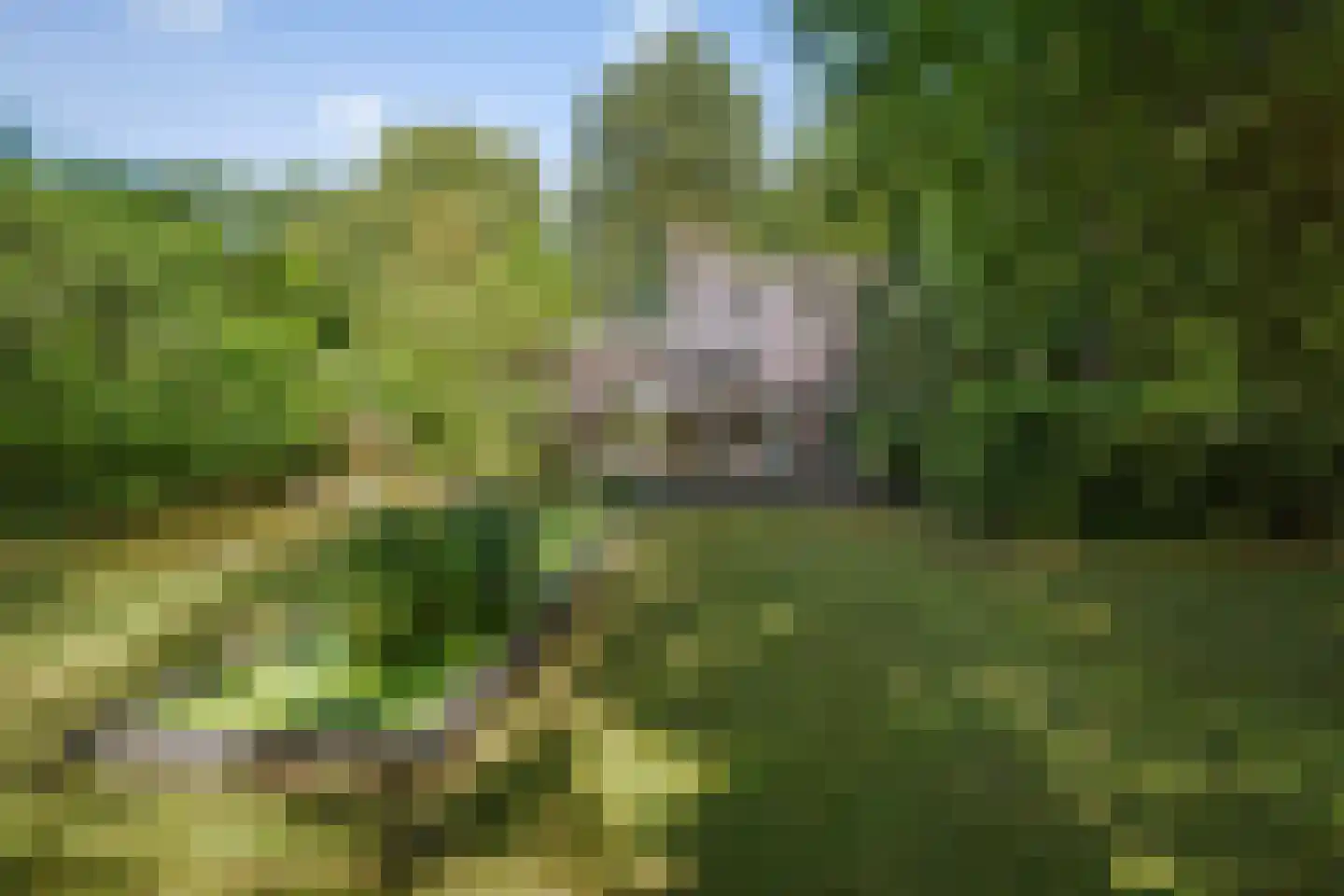 Prins Bernhardweg 1 A Schalkhaar thumbnail 50