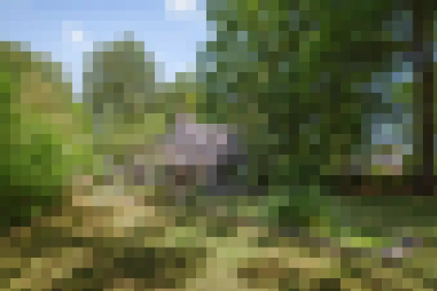 Prins Bernhardweg 1 A Schalkhaar thumbnail 51
