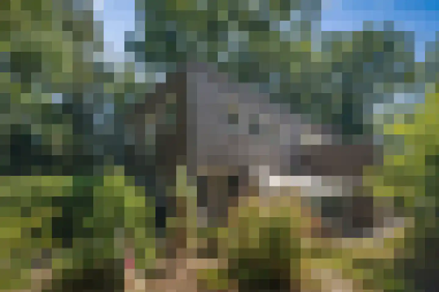 Prins Bernhardweg 1 A Schalkhaar thumbnail 52