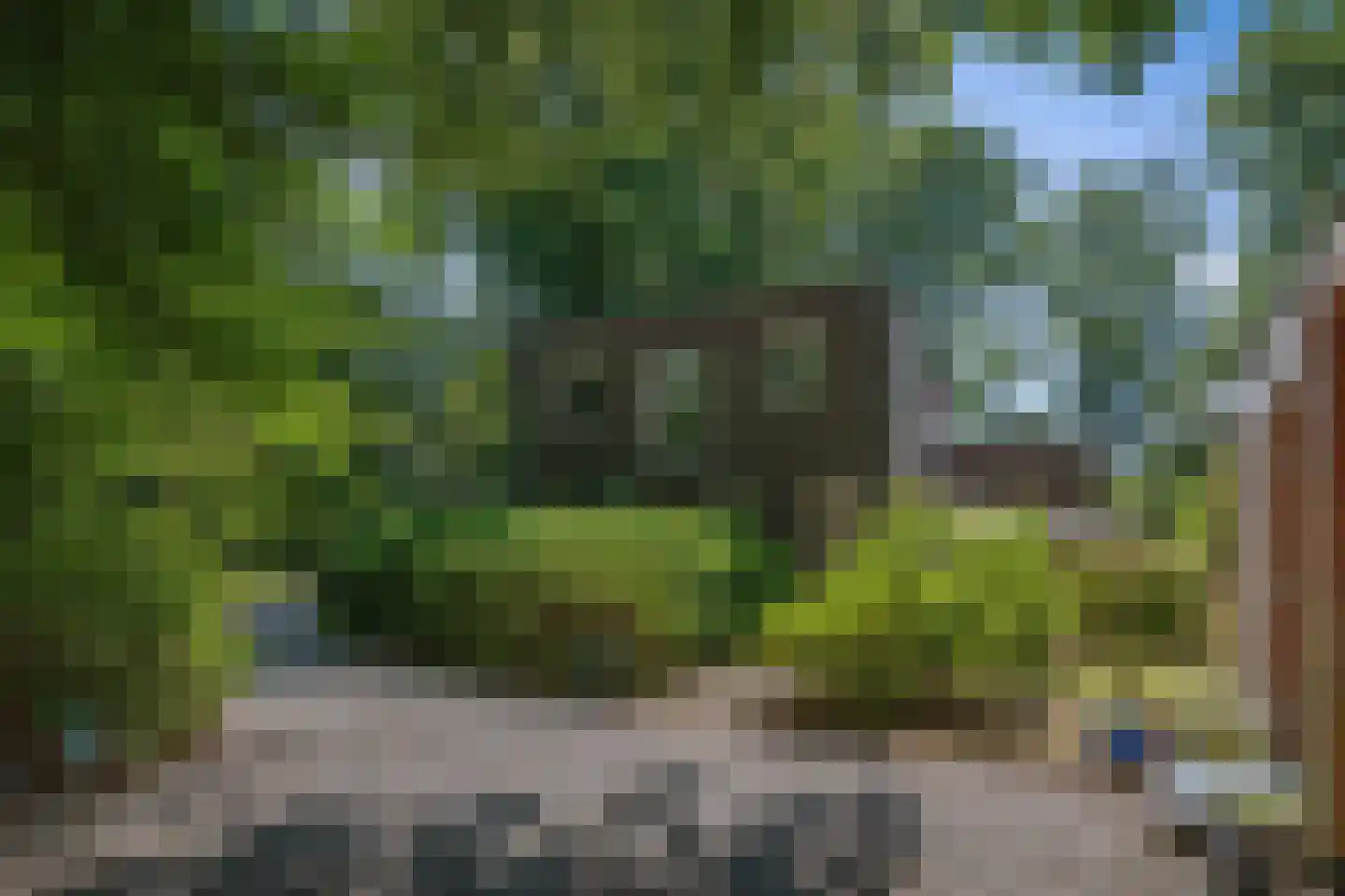 Prins Bernhardweg 1 A Schalkhaar thumbnail 53