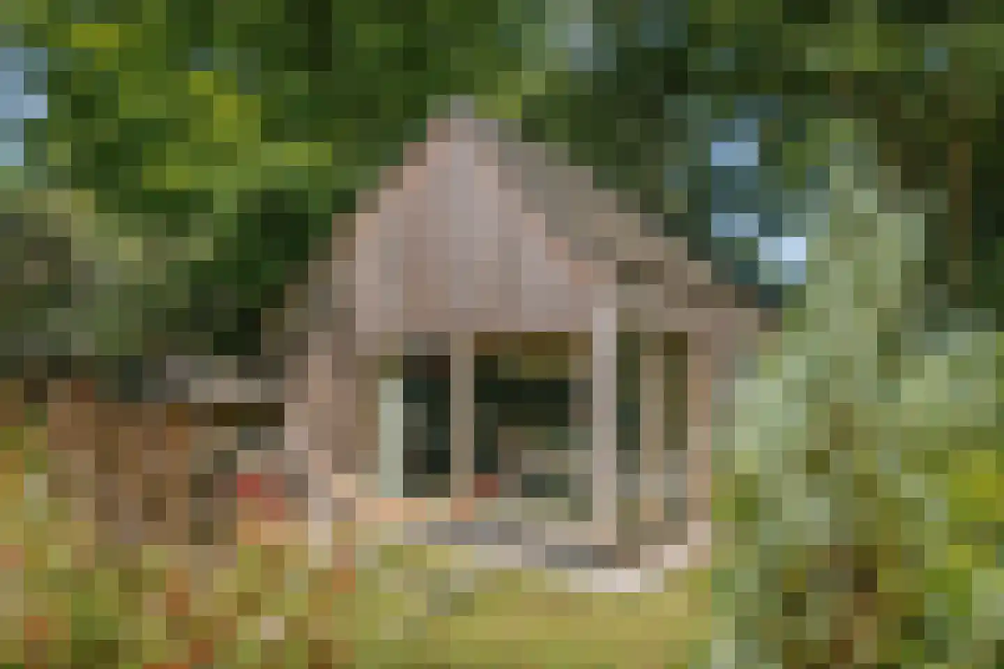 Prins Bernhardweg 1 A Schalkhaar thumbnail 54