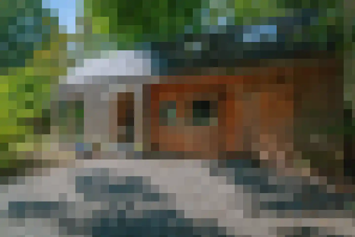 Prins Bernhardweg 1 A Schalkhaar thumbnail 55