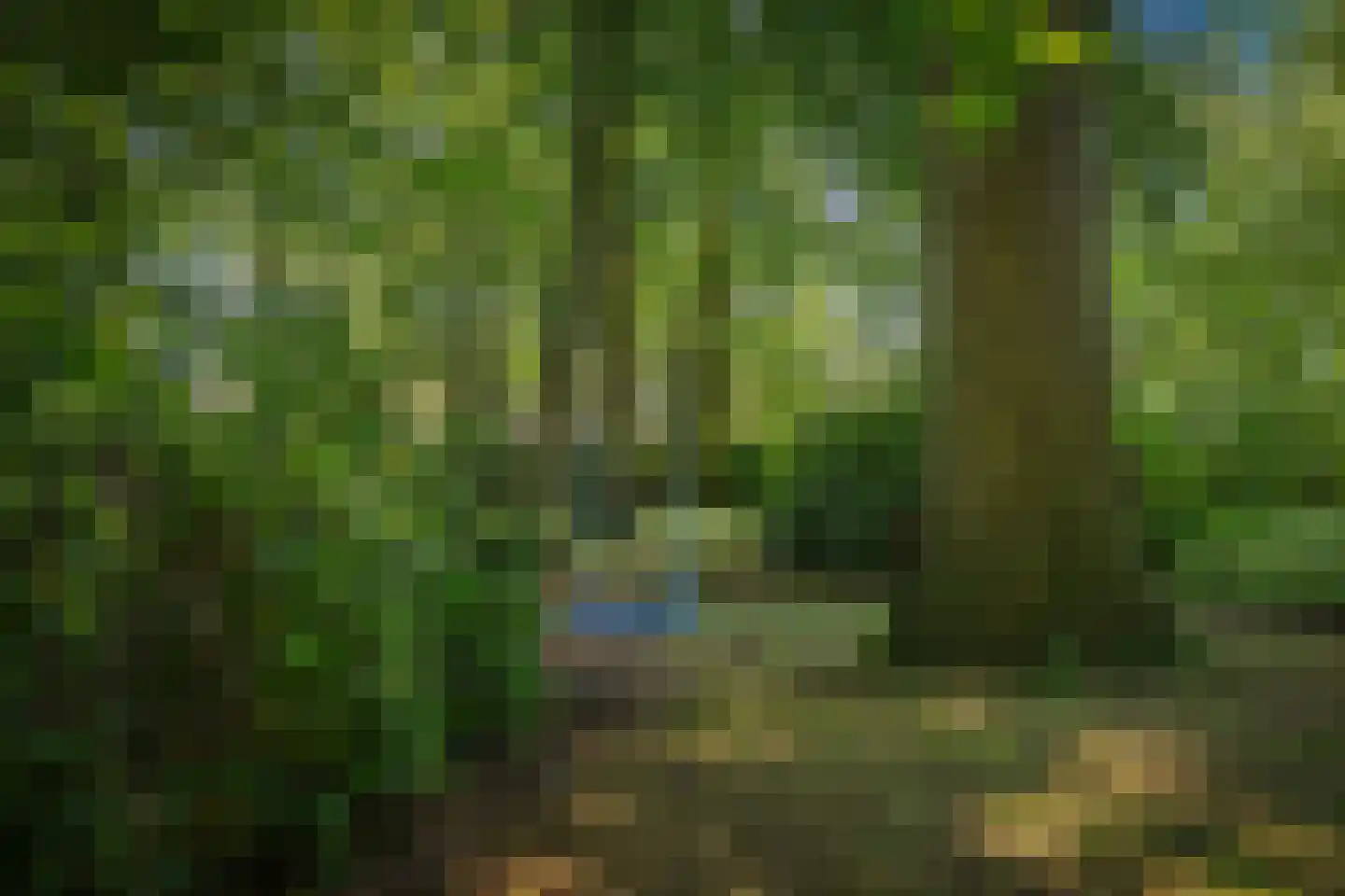 Prins Bernhardweg 1 A Schalkhaar thumbnail 6