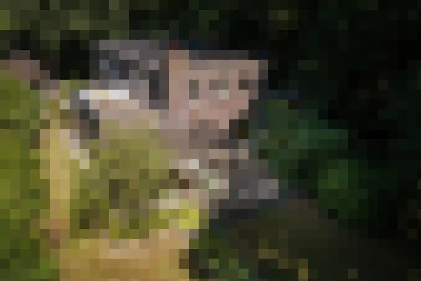 Prins Bernhardweg 1 A Schalkhaar thumbnail 62