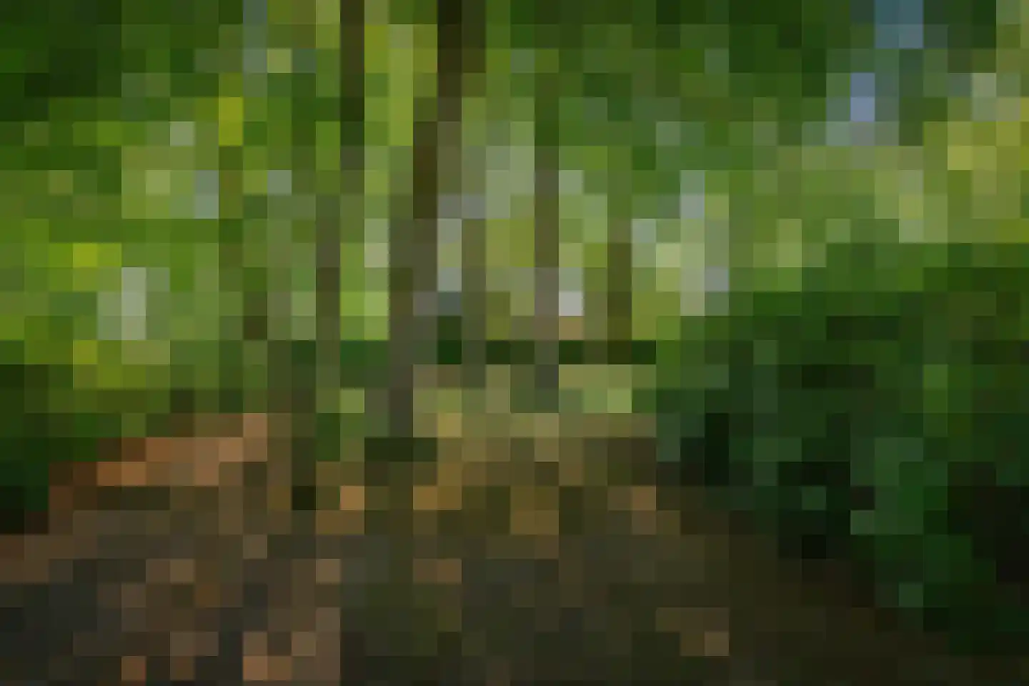 Prins Bernhardweg 1 A Schalkhaar thumbnail 63