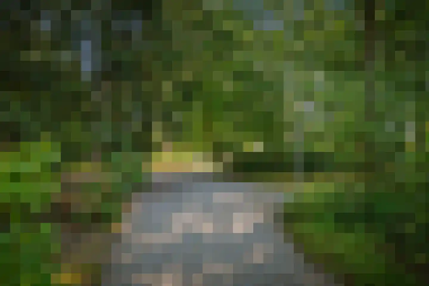 Prins Bernhardweg 1 A Schalkhaar thumbnail 64