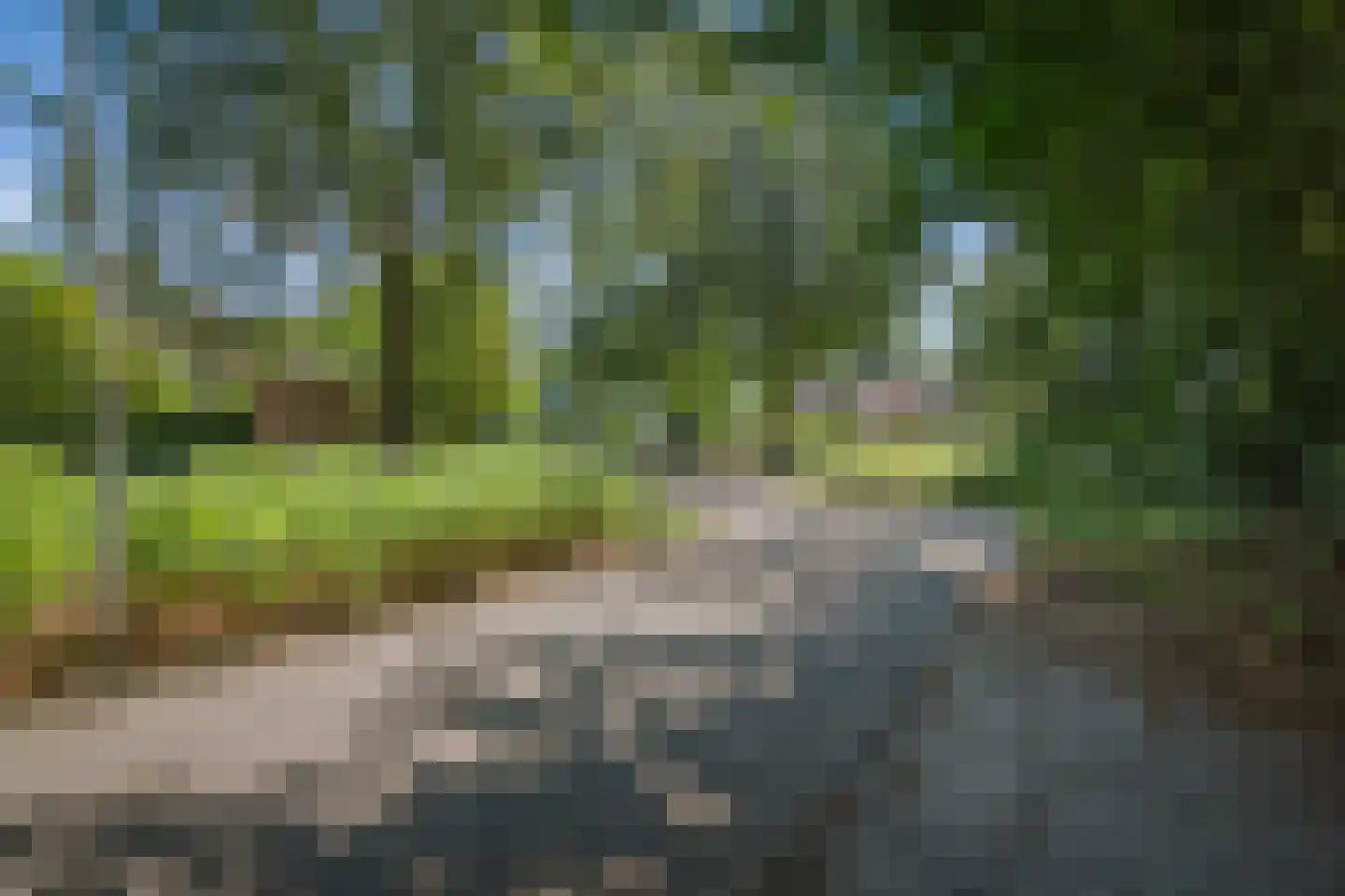 Prins Bernhardweg 1 A Schalkhaar thumbnail 65