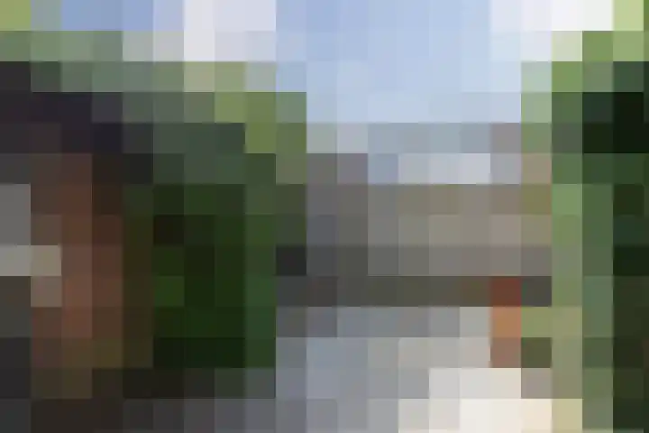 Prins Bernhardweg 12 Oud-Alblas thumbnail 20