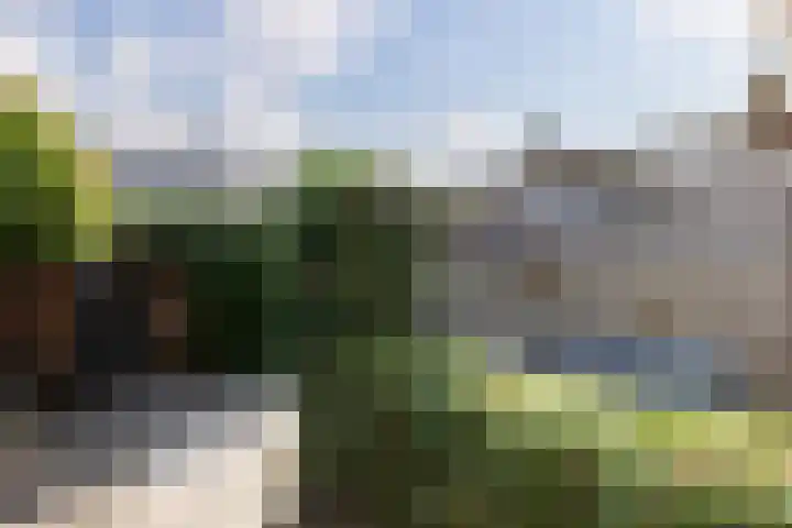 Prins Bernhardweg 12 Oud-Alblas thumbnail 4