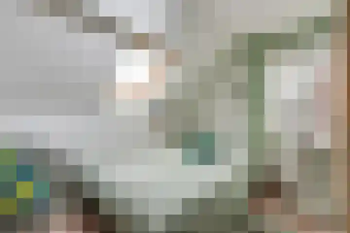Prins Bernhardweg 14 Houten thumbnail 27