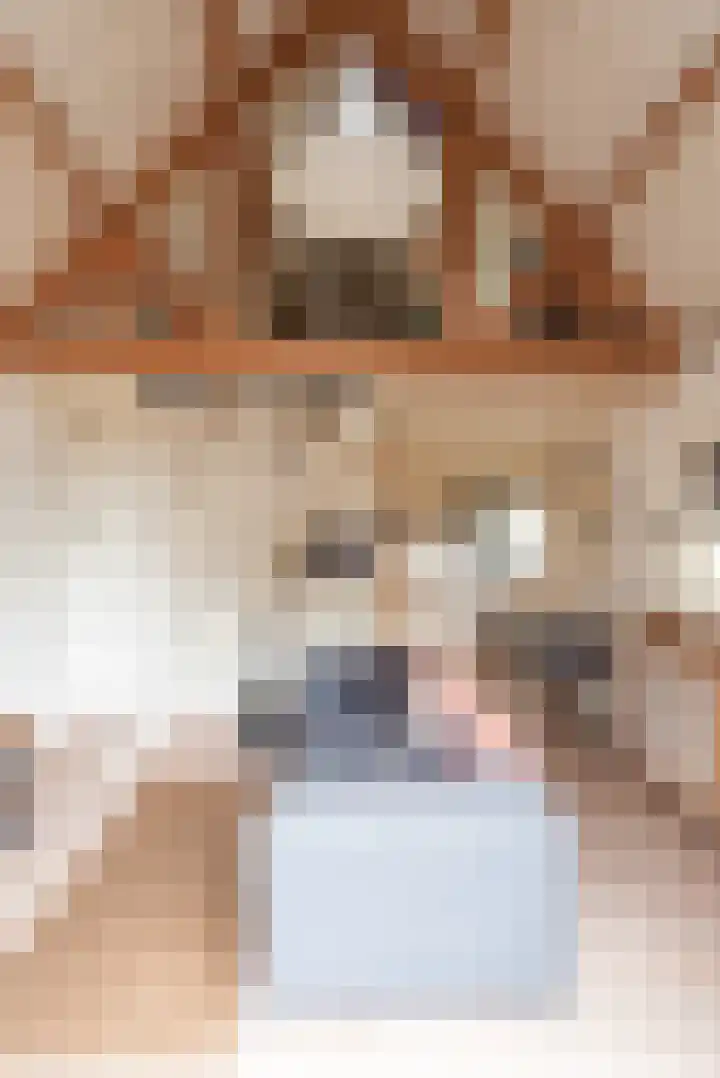 Prins Bernhardweg 14 Houten thumbnail 31