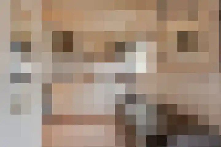 Prins Bernhardweg 14 Houten thumbnail 33