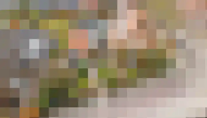 Prins Bernhardweg 14 Houten thumbnail 38