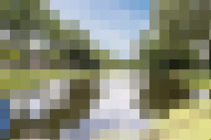 Prins Bernhardweg 14 Lochem thumbnail 31