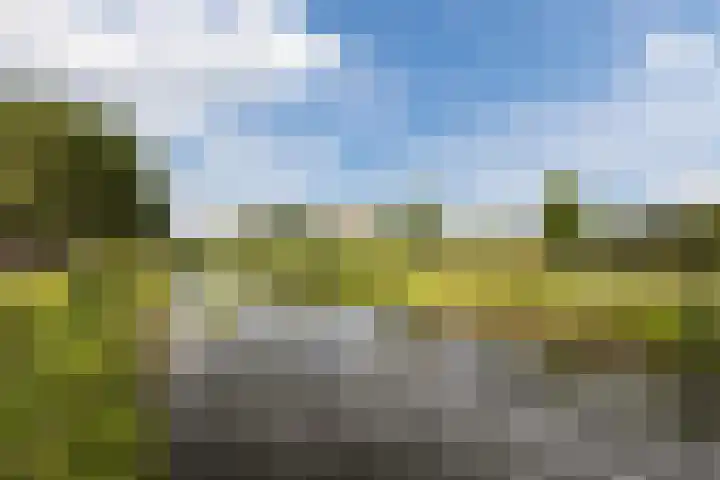 Prins Bernhardweg 14 Lochem thumbnail 32