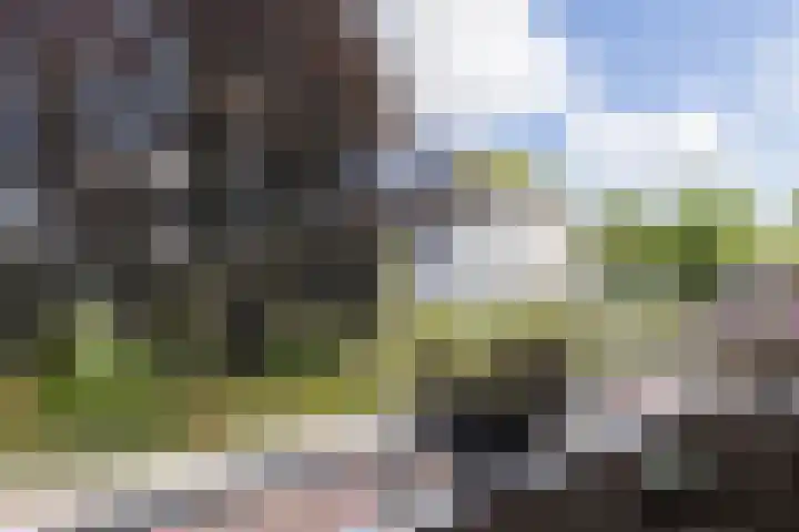 Prins Bernhardweg 14 Lochem thumbnail 7