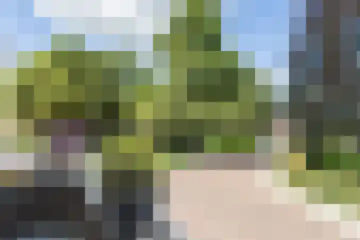 Prins Bernhardweg 14 Lochem thumbnail 8
