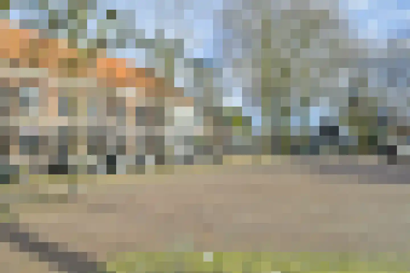 Prins Bernhardweg 15 Houten thumbnail 27