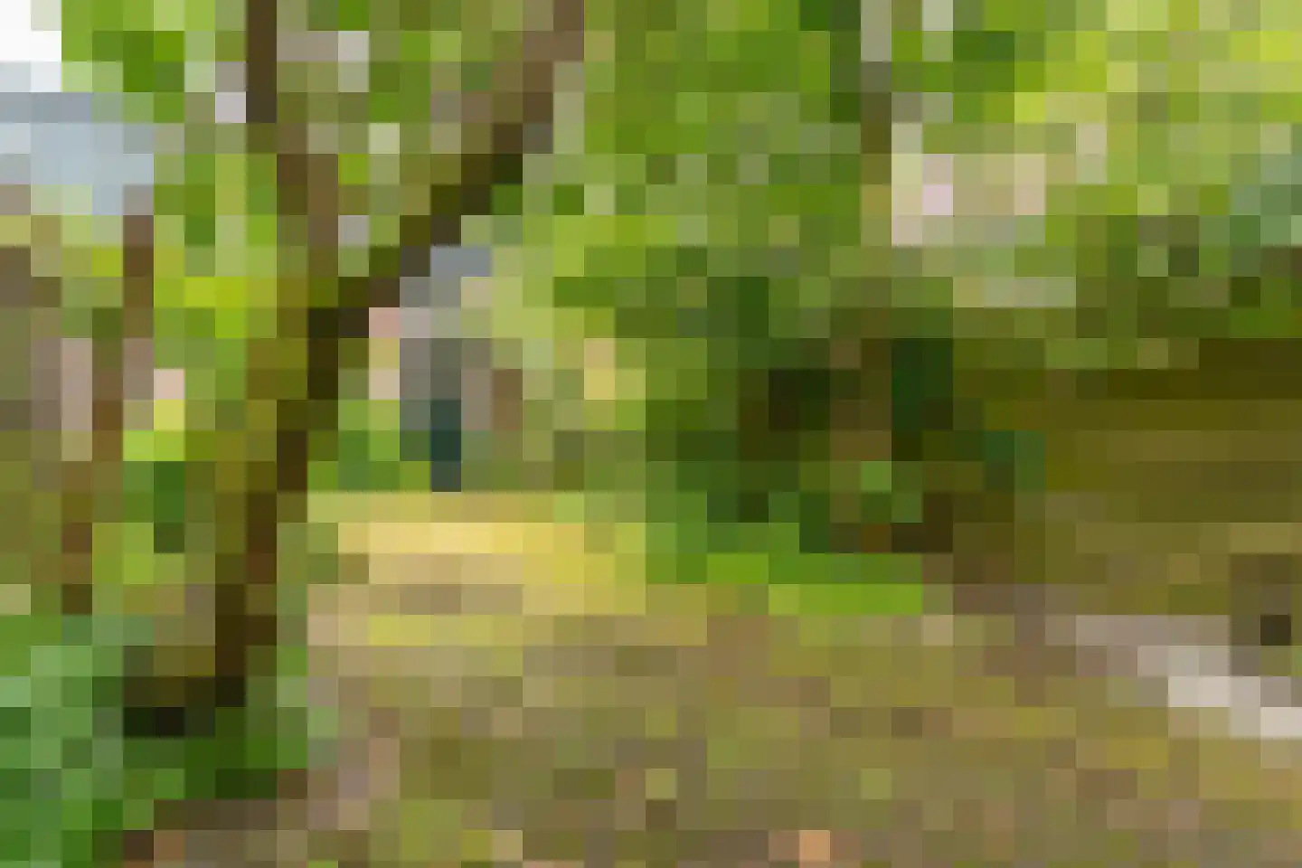 Prins Bernhardweg 15 Houten thumbnail 4