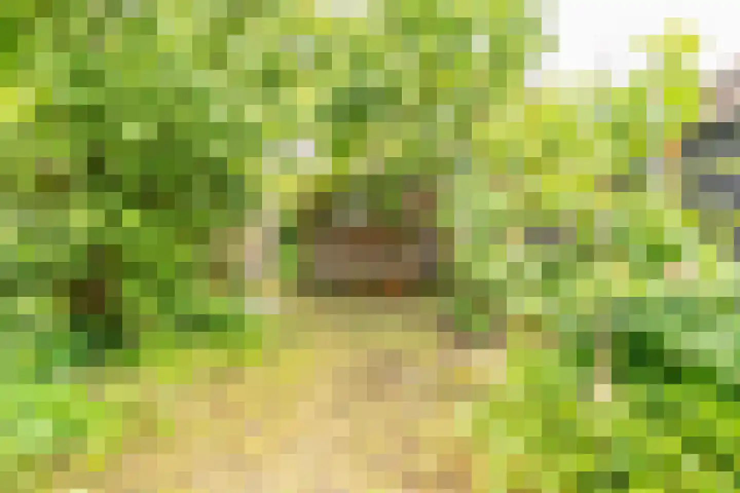 Prins Bernhardweg 15 Houten thumbnail 5