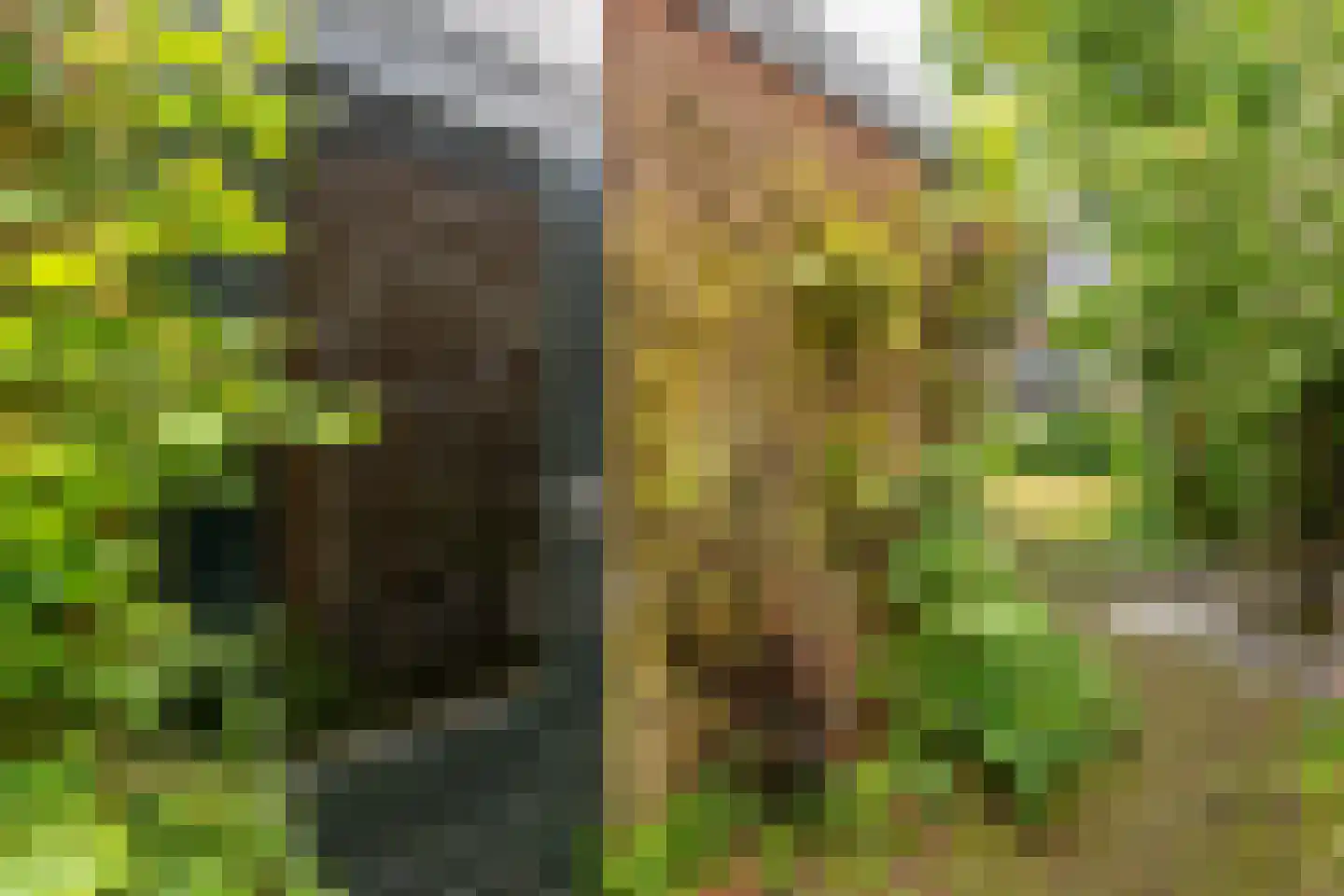 Prins Bernhardweg 15 Houten thumbnail 6