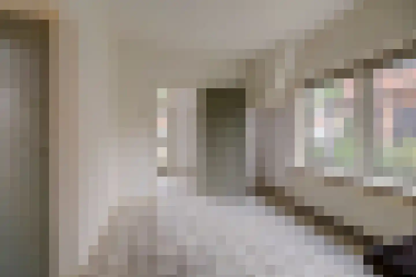 Prins Bernhardweg 18 Houten thumbnail 15