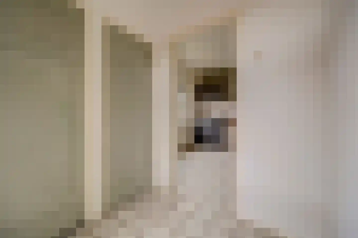 Prins Bernhardweg 18 Houten thumbnail 16