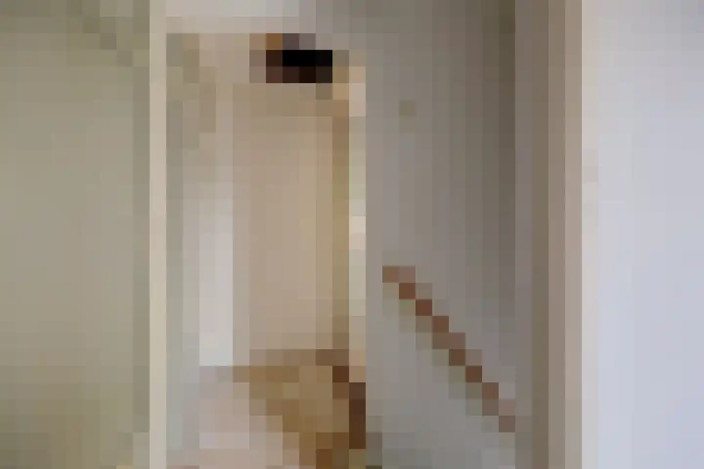 Prins Bernhardweg 18 Houten thumbnail 20