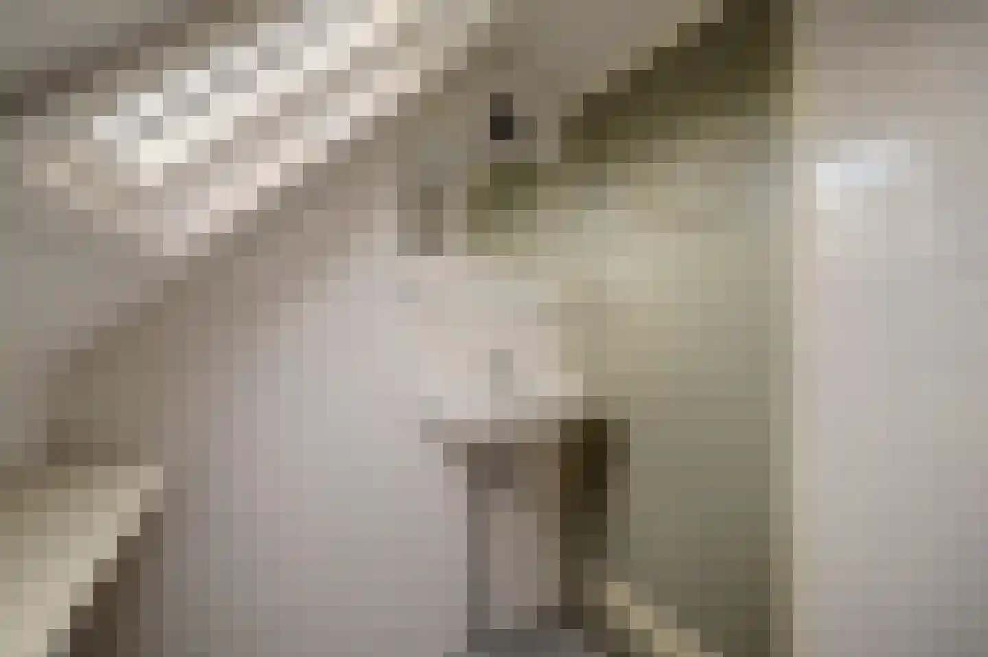 Prins Bernhardweg 18 Houten thumbnail 24