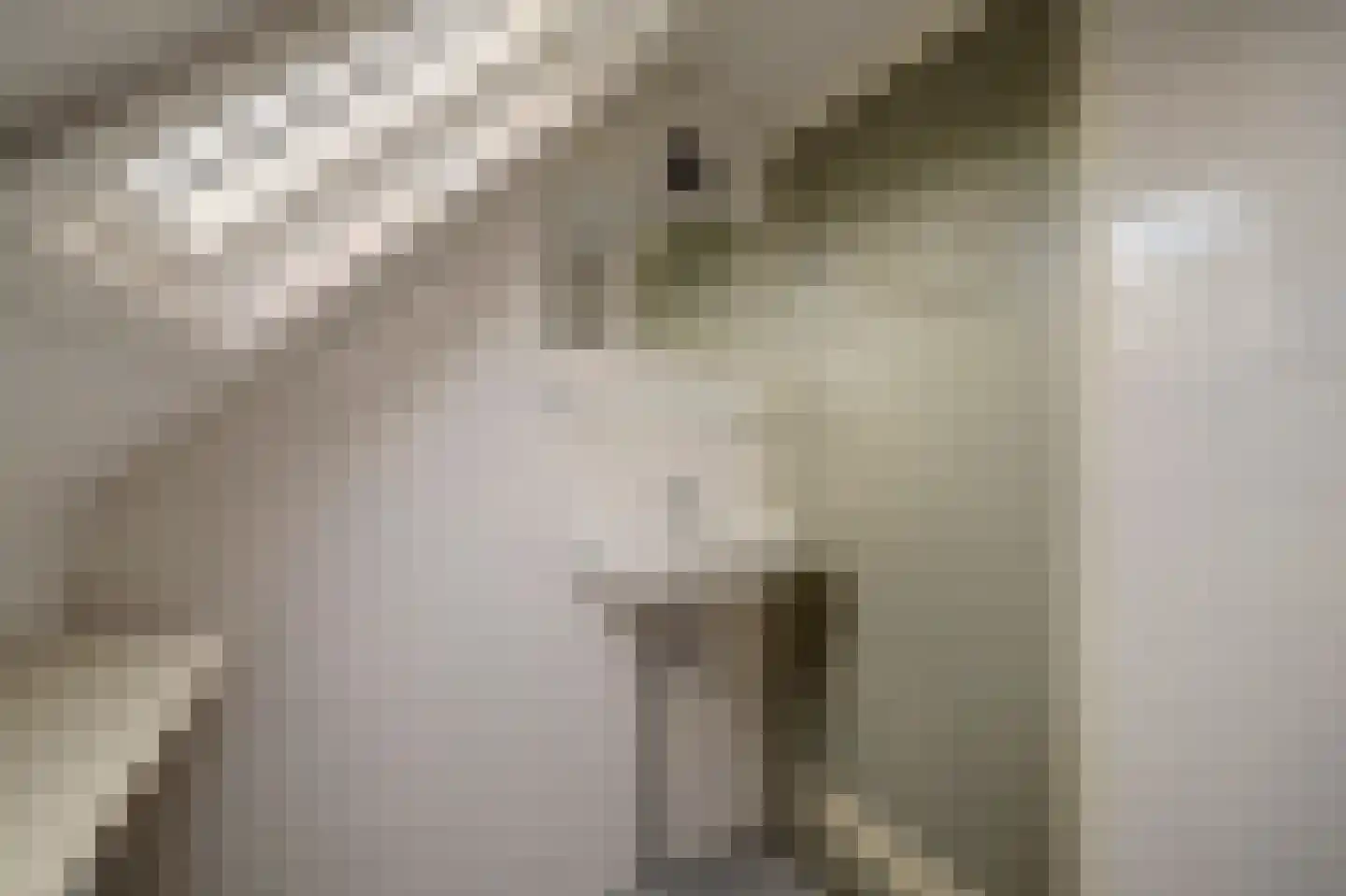 Prins Bernhardweg 18 Houten thumbnail 27