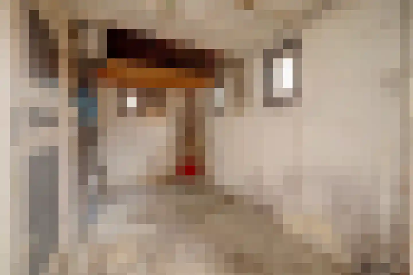 Prins Bernhardweg 18 Houten thumbnail 30