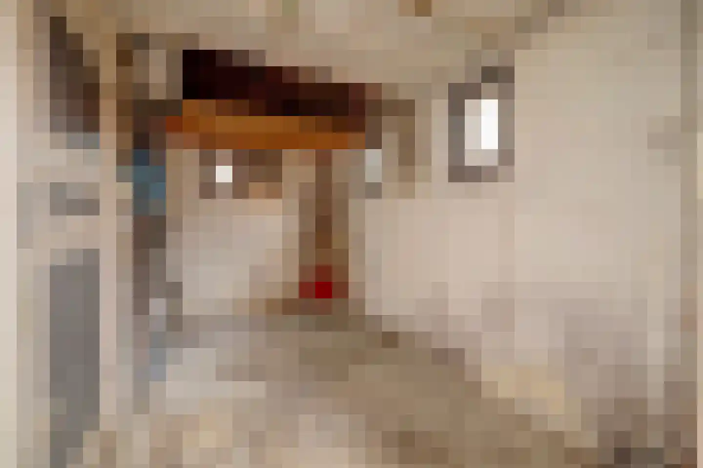 Prins Bernhardweg 18 Houten thumbnail 33