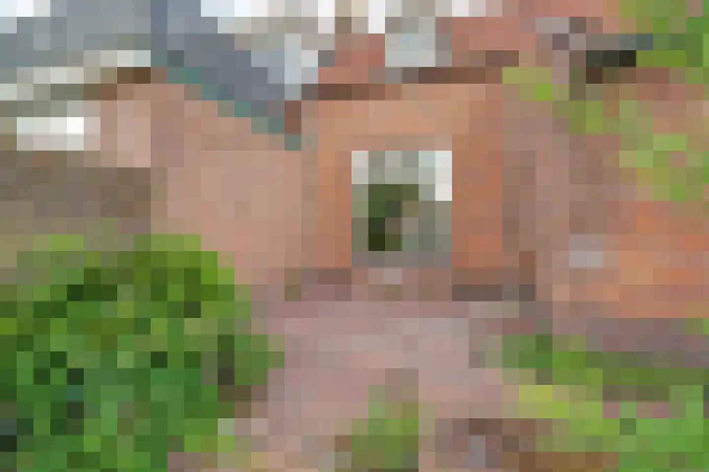 Prins Bernhardweg 18 Houten thumbnail 33