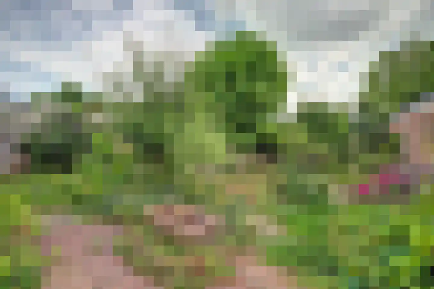 Prins Bernhardweg 18 Houten thumbnail 34