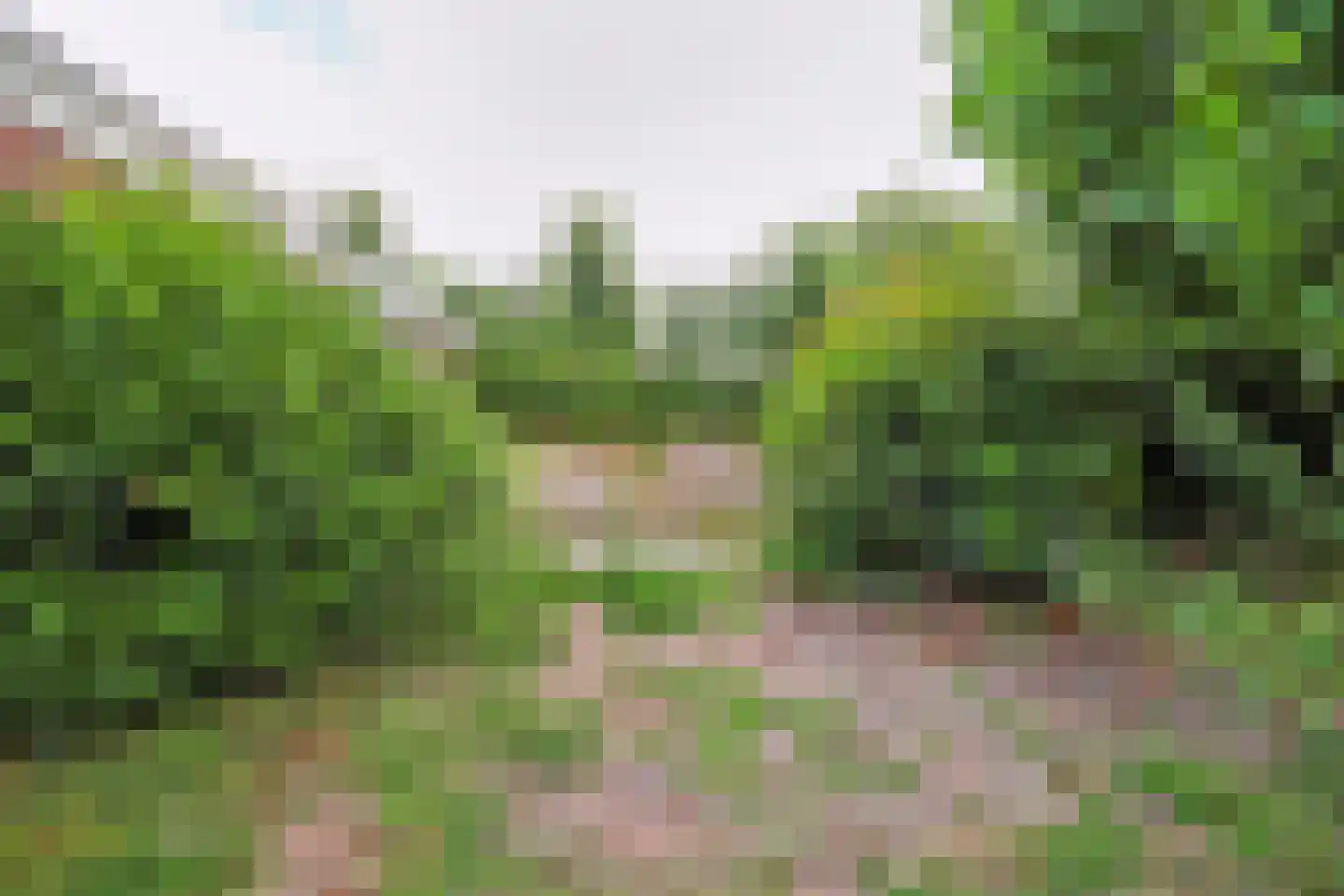 Prins Bernhardweg 18 Houten thumbnail 37