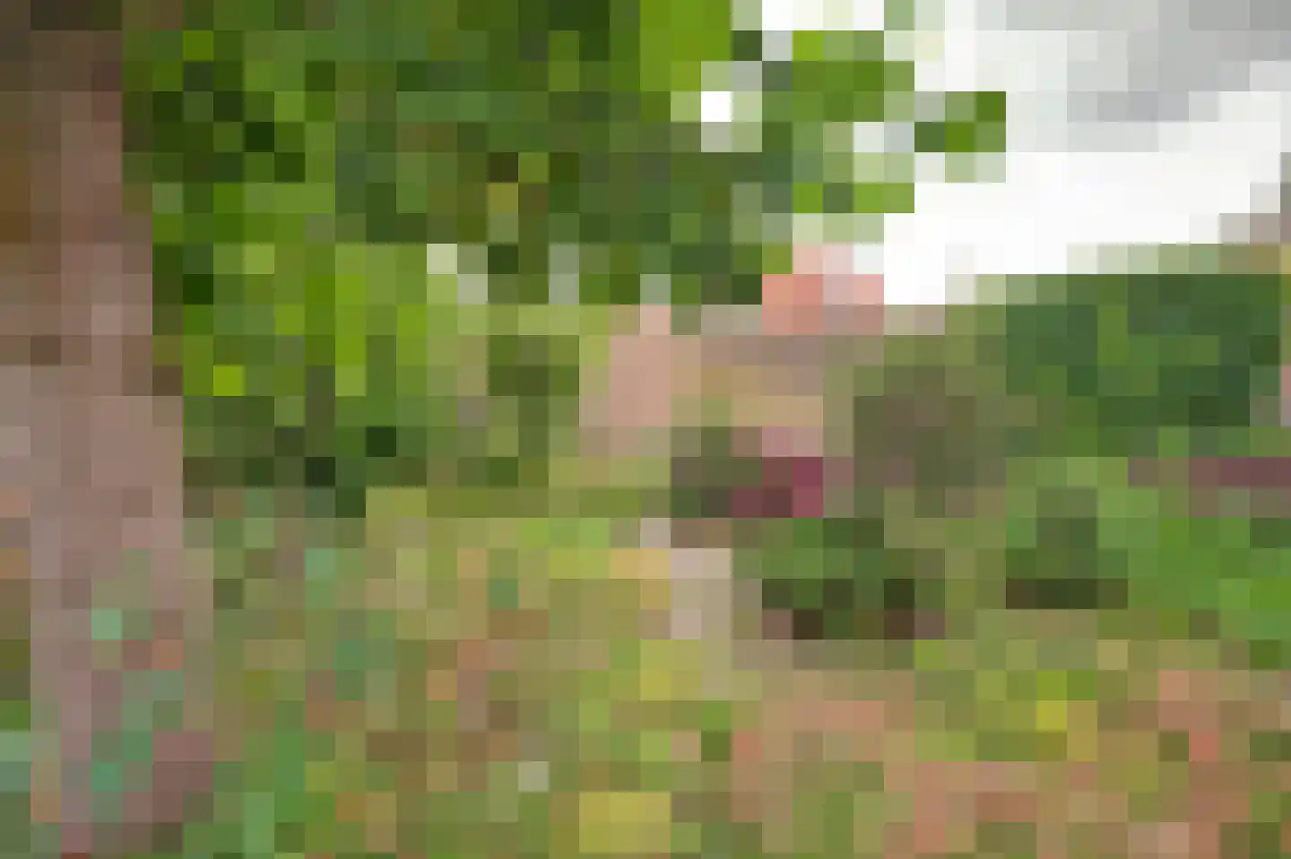 Prins Bernhardweg 18 Houten thumbnail 39