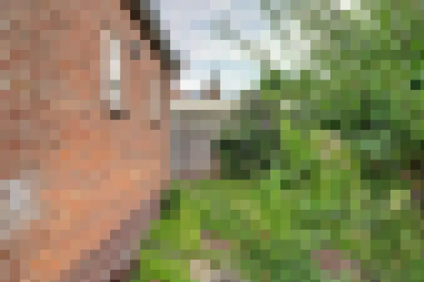 Prins Bernhardweg 18 Houten thumbnail 40