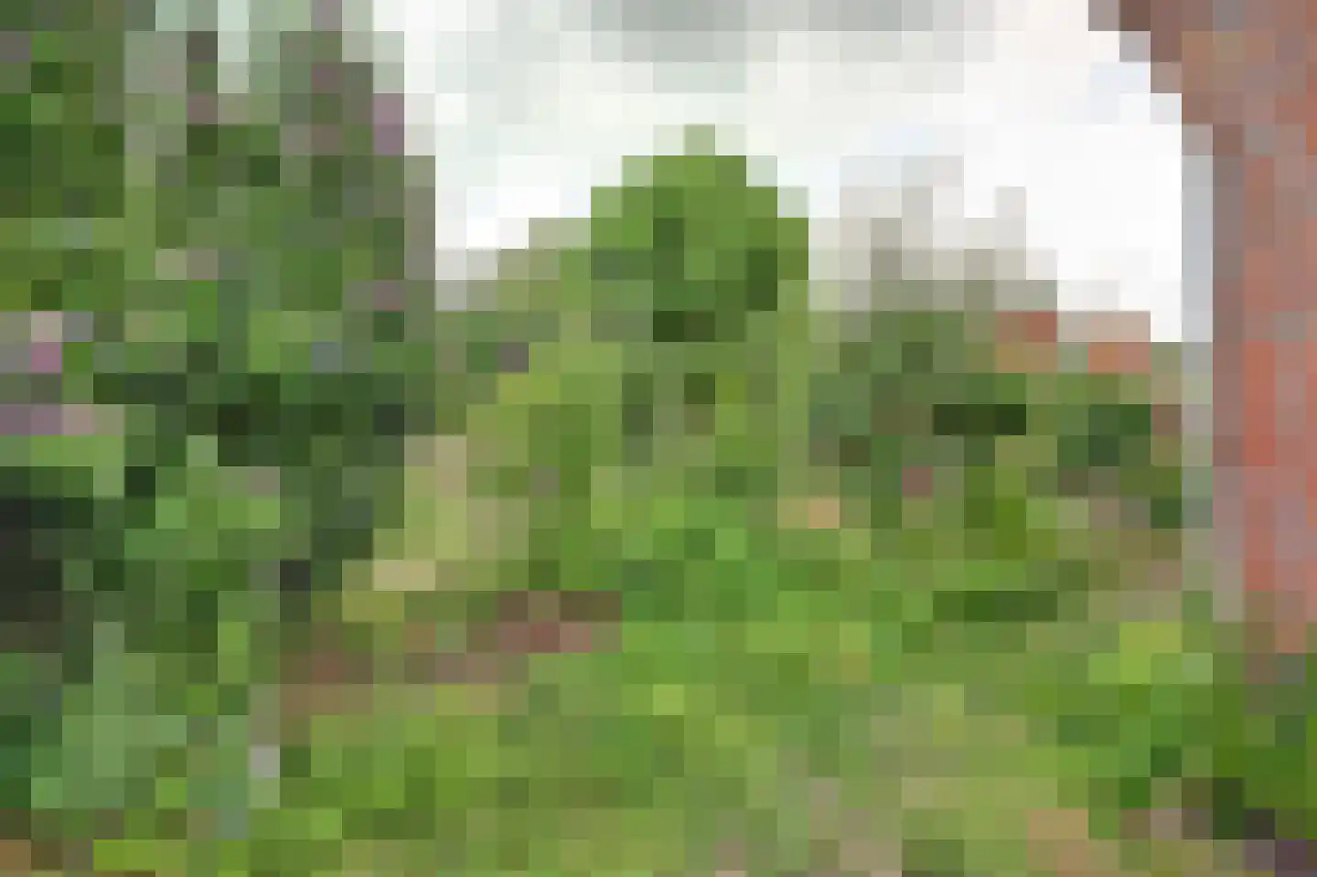 Prins Bernhardweg 18 Houten thumbnail 41