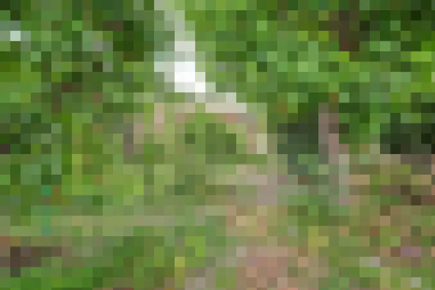 Prins Bernhardweg 18 Houten thumbnail 42