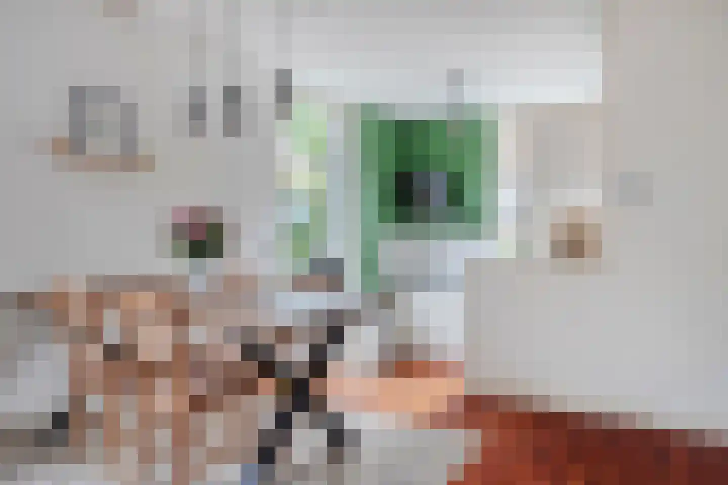 Prins Bernhardweg 19 Houten thumbnail 16
