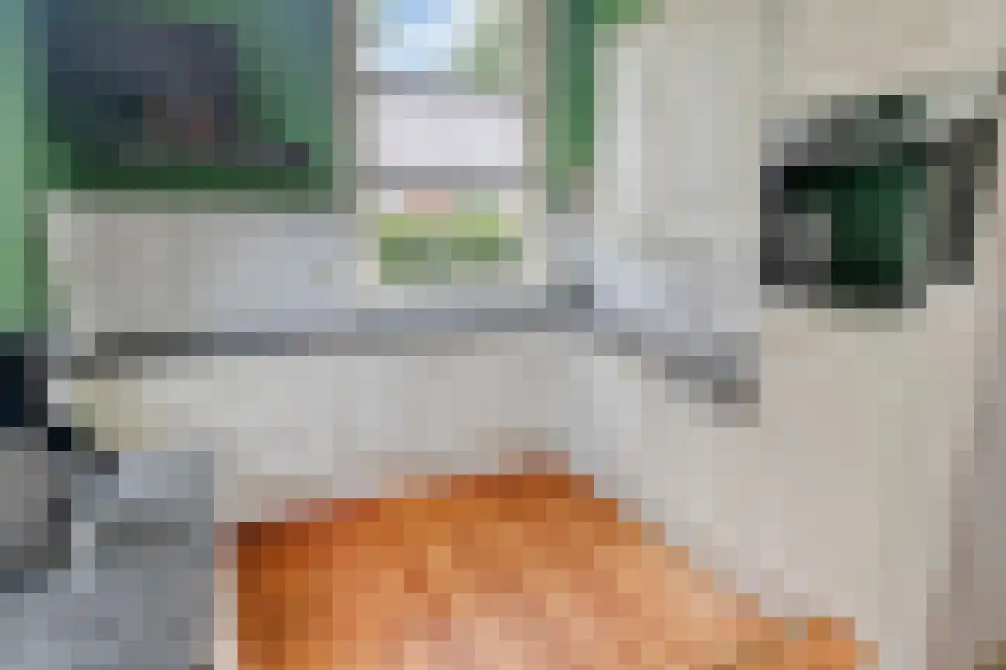 Prins Bernhardweg 19 Houten thumbnail 17