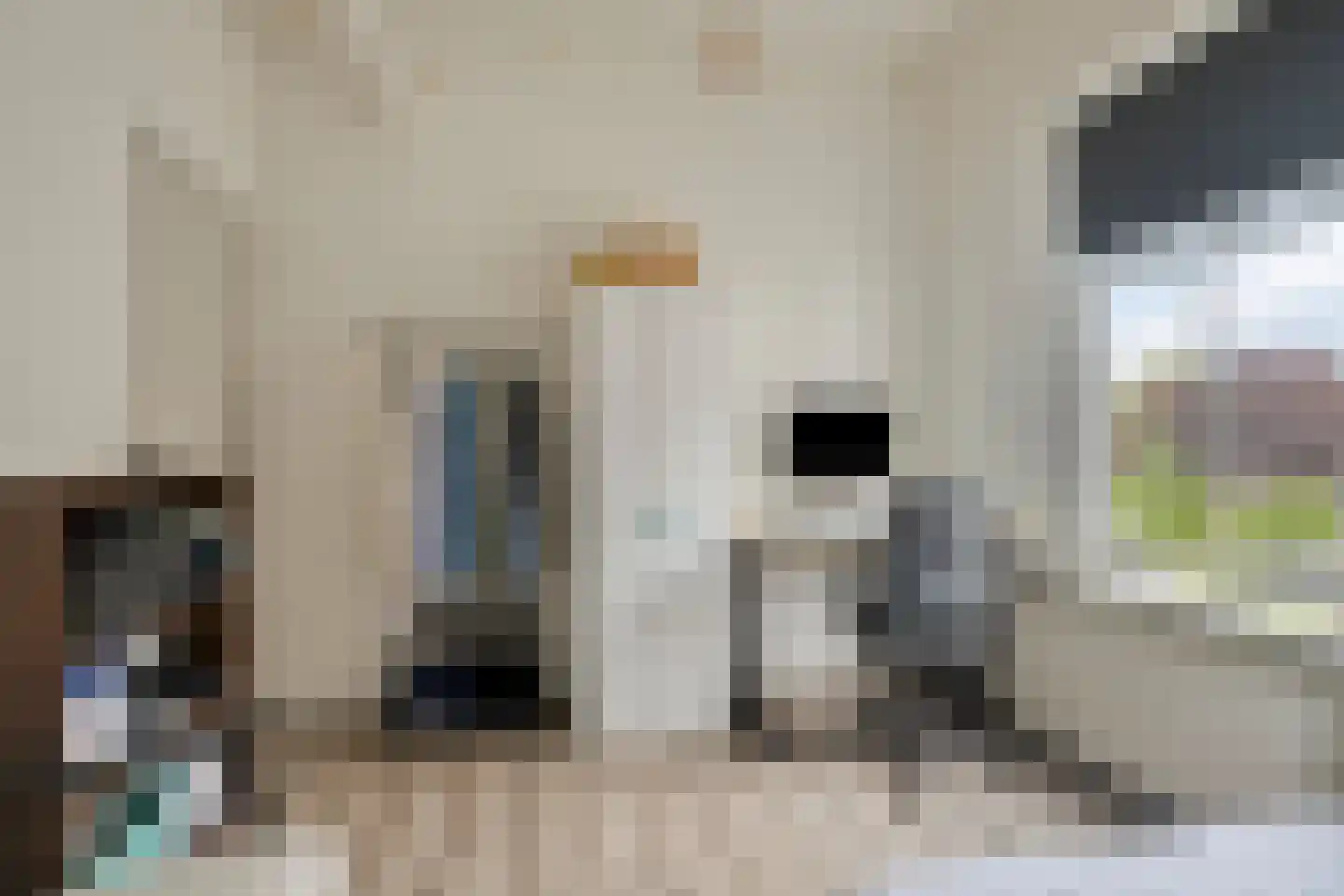 Prins Bernhardweg 19 Houten thumbnail 25