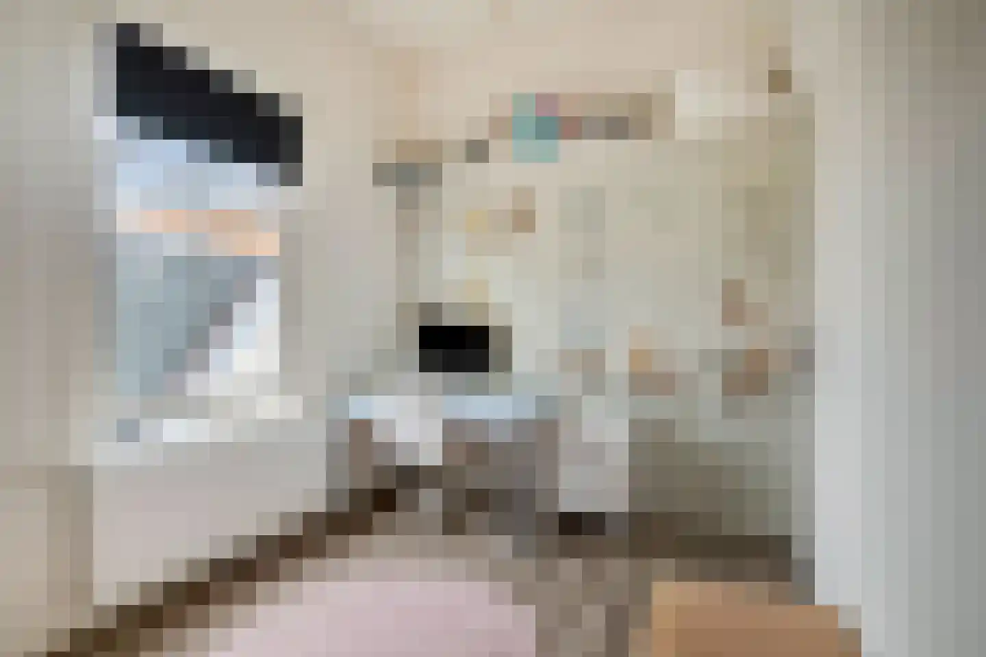 Prins Bernhardweg 19 Houten thumbnail 26