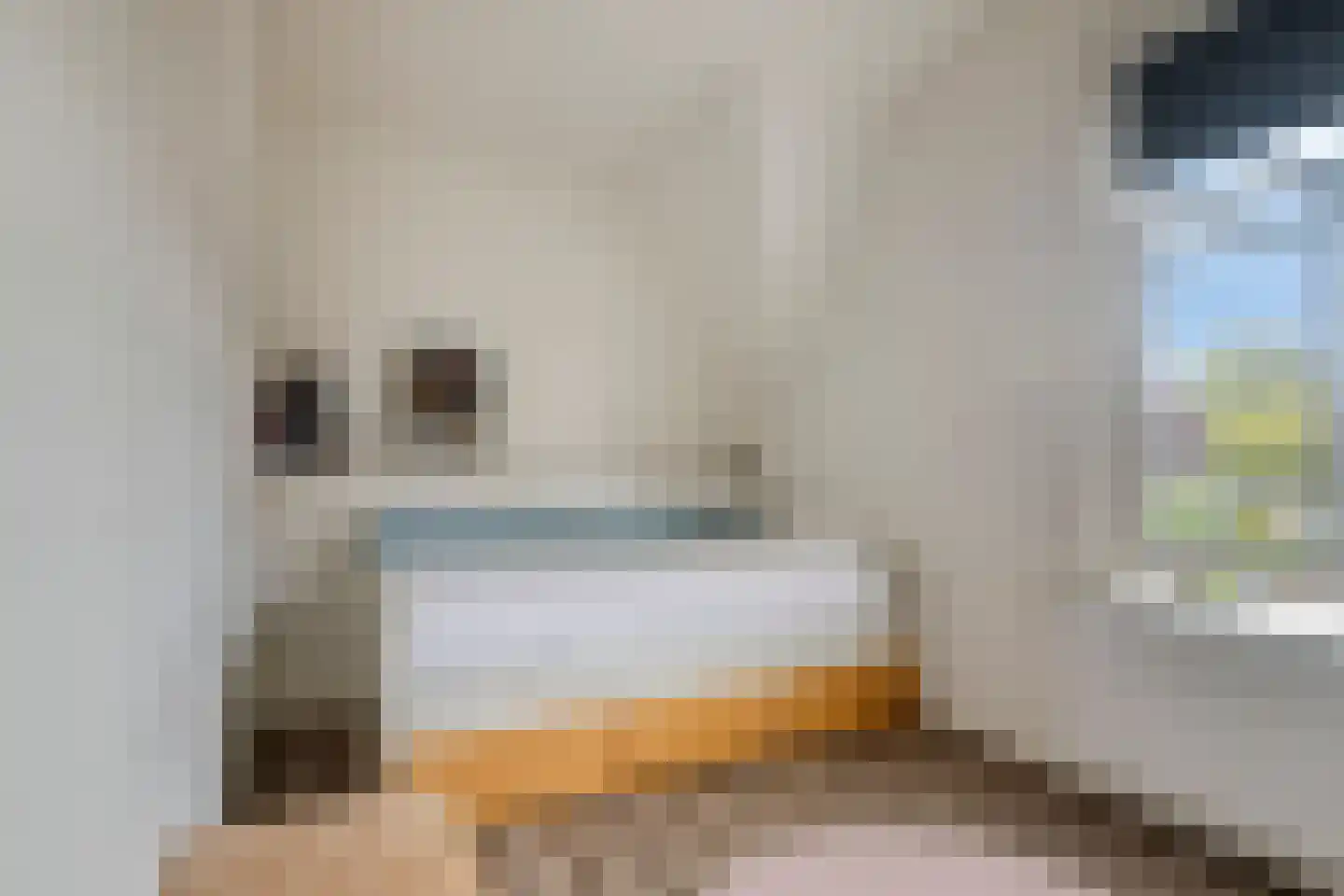 Prins Bernhardweg 19 Houten thumbnail 27