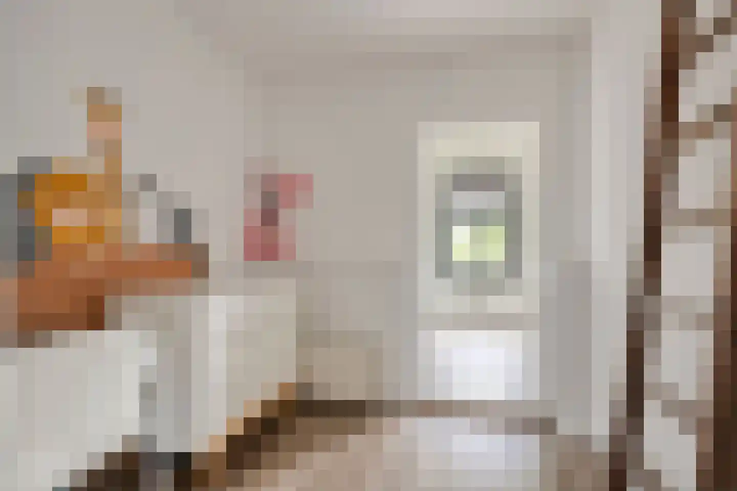 Prins Bernhardweg 19 Houten thumbnail 28