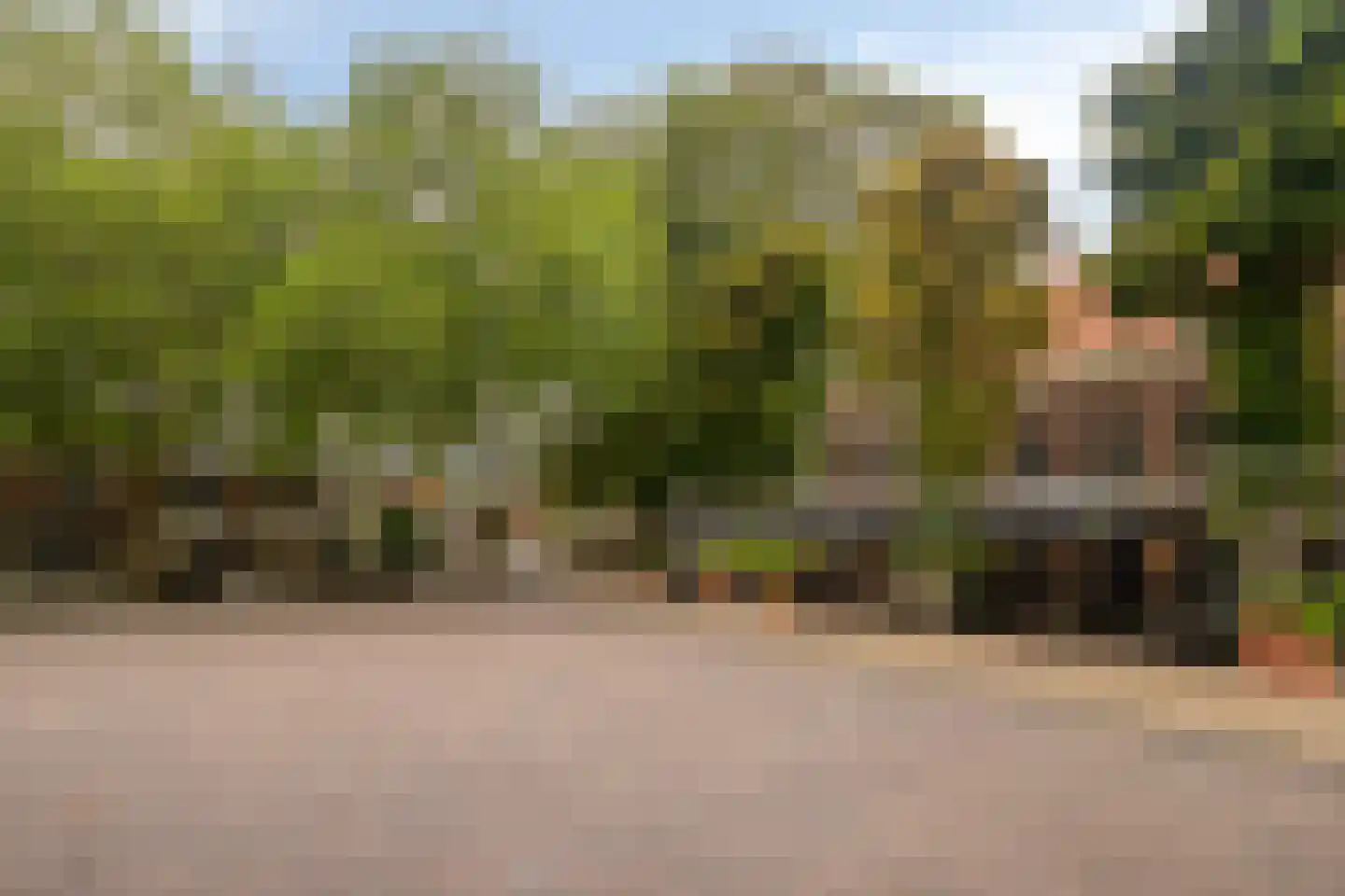 Prins Bernhardweg 19 Houten thumbnail 41