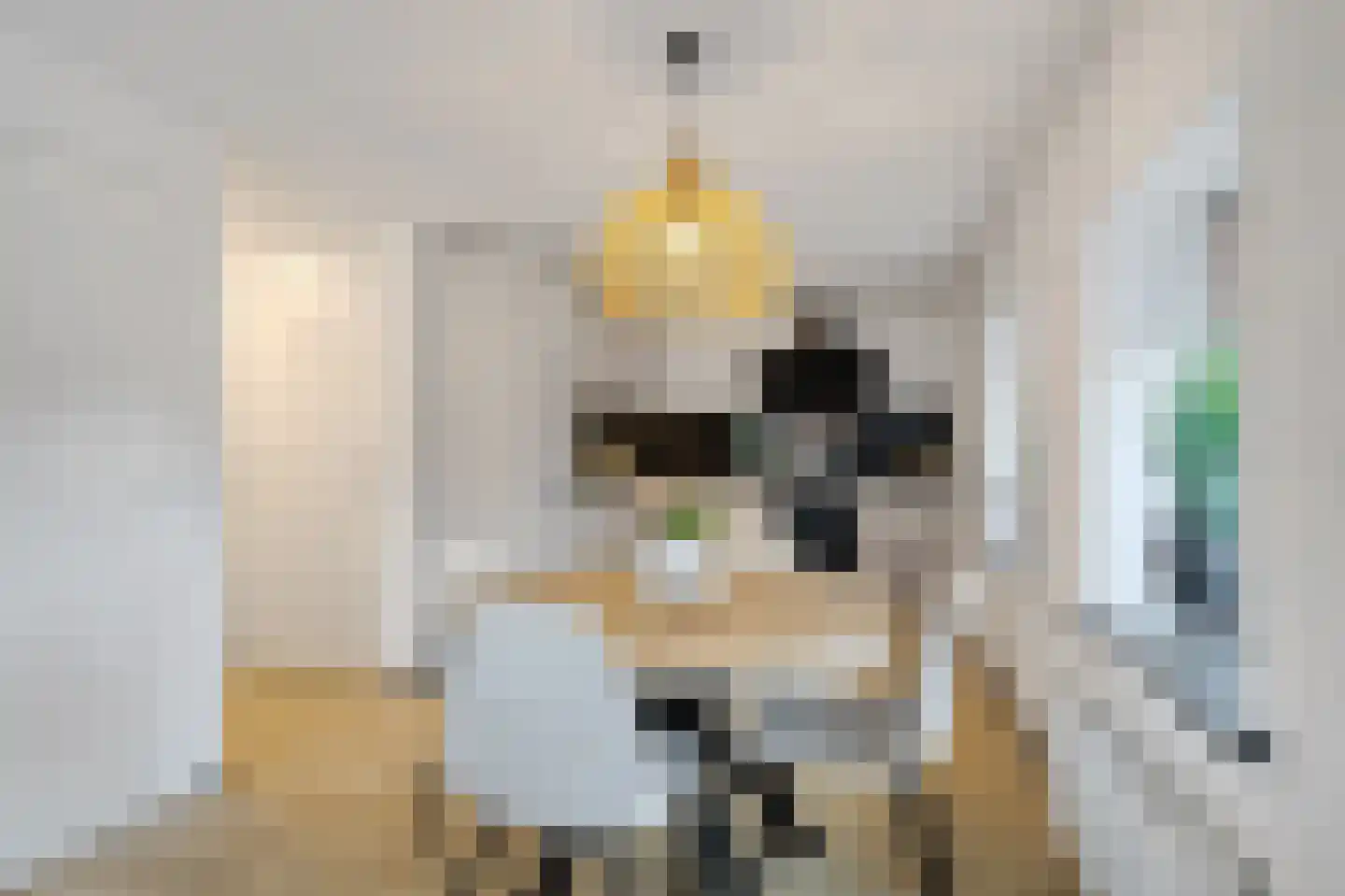 Prins Bernhardweg 2 a Slootdorp thumbnail 15