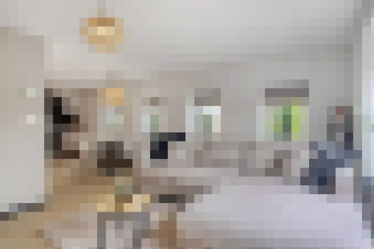 Prins Bernhardweg 2 a Slootdorp thumbnail 16
