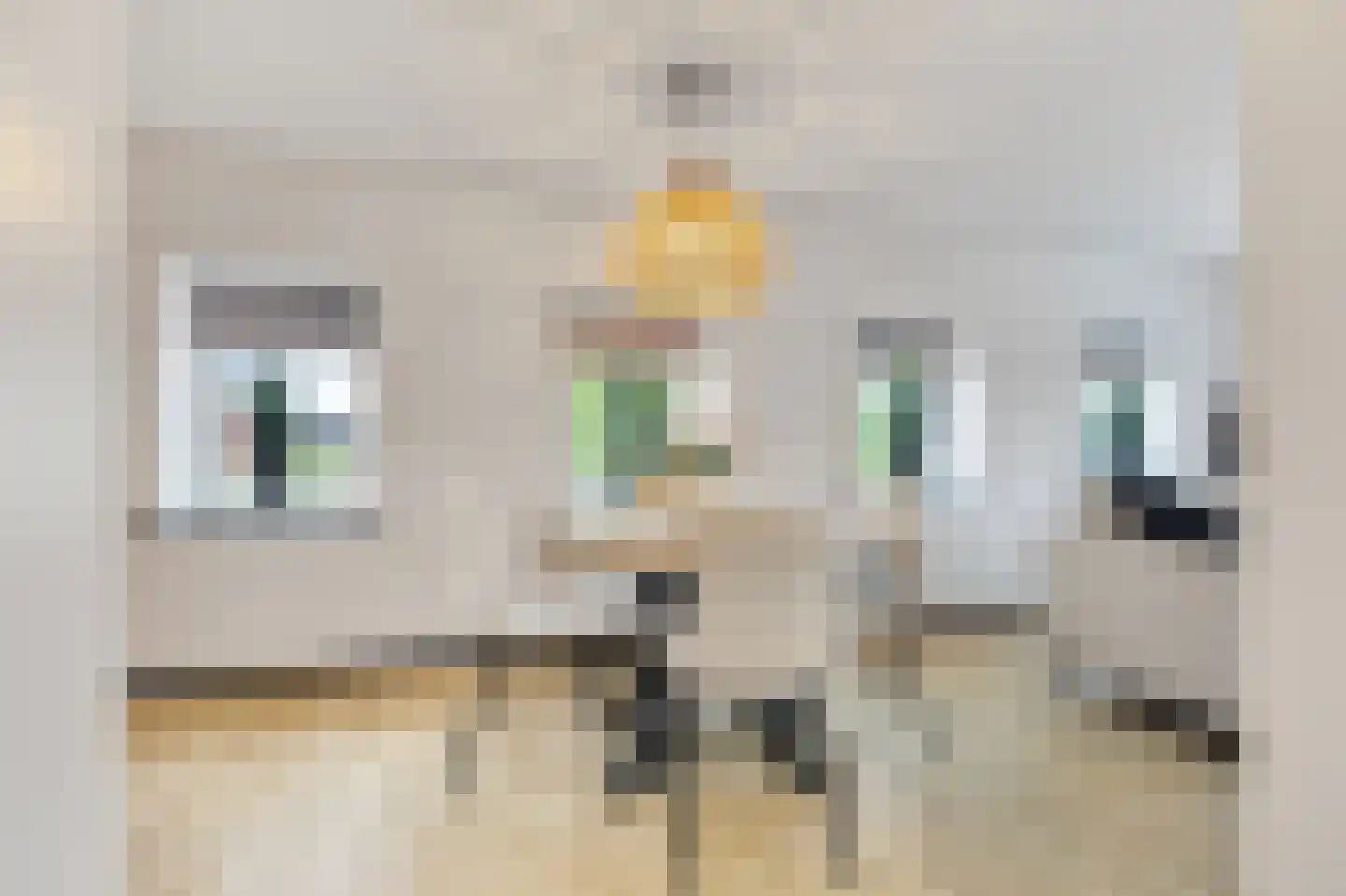 Prins Bernhardweg 2 a Slootdorp thumbnail 17
