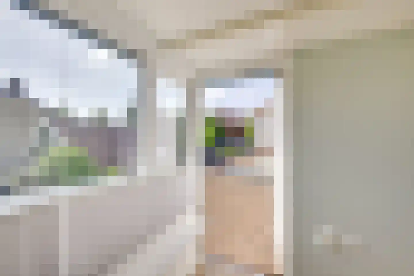 Prins Bernhardweg 22 Houten thumbnail 21